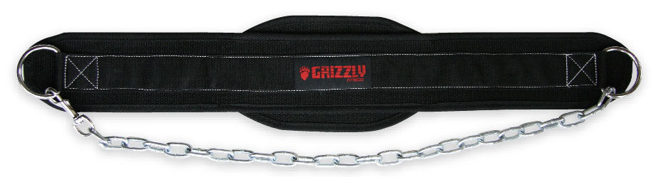 Lifting Belt